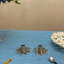 Plat de table en métal 2 po