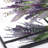 Lanyiah Metal Mirror Black Rectangular Window Mirror, 24x36 Windowpane Wall Mirror with Hand Polished Metal Frame