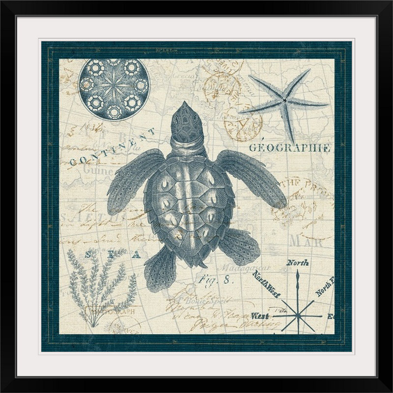 «ocean life vi, impression, H 35 po x l 35 po x P 1,5 po, Toile