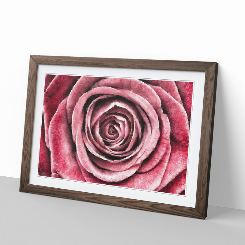 Pink Rose Flower Vol.2 - Framed Print, 36cm H x 48cm W x 2cm D, Walnut Framed