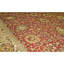 Oriental Area Rug in Gold