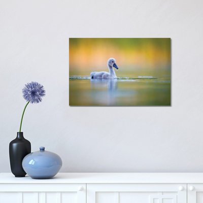 Cygnet 1 Piece Wrapped Canvas Wall Art