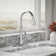Bellera™ Pull Down Single Handle Kitchen Faucet with Handle and Supply Lines