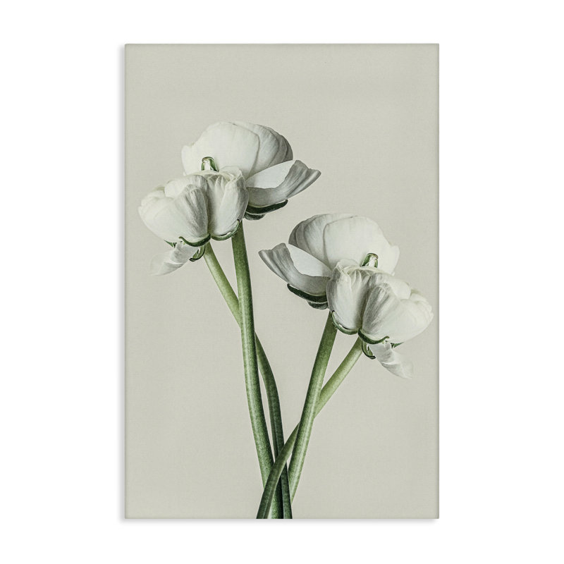 "White Flower Bundle", art mural sur toile par Incado, H 30 po x l 20 po