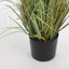 Faux Pampas Grass Grass in Pot-70917903