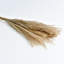 15Pcs Dried Flower Bunch Reed Rabbit Tail Grass Bouquet Home Decor
