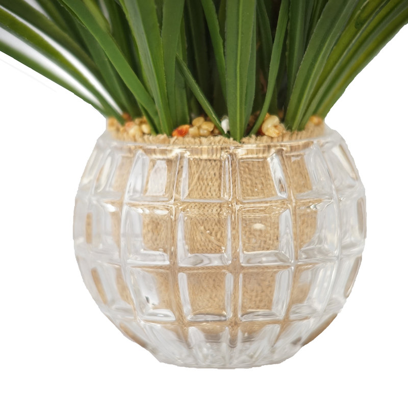 13 " H Faux Palm Grass in Glass Vase