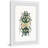 " Camouflage Bug " Painting Print-26129229