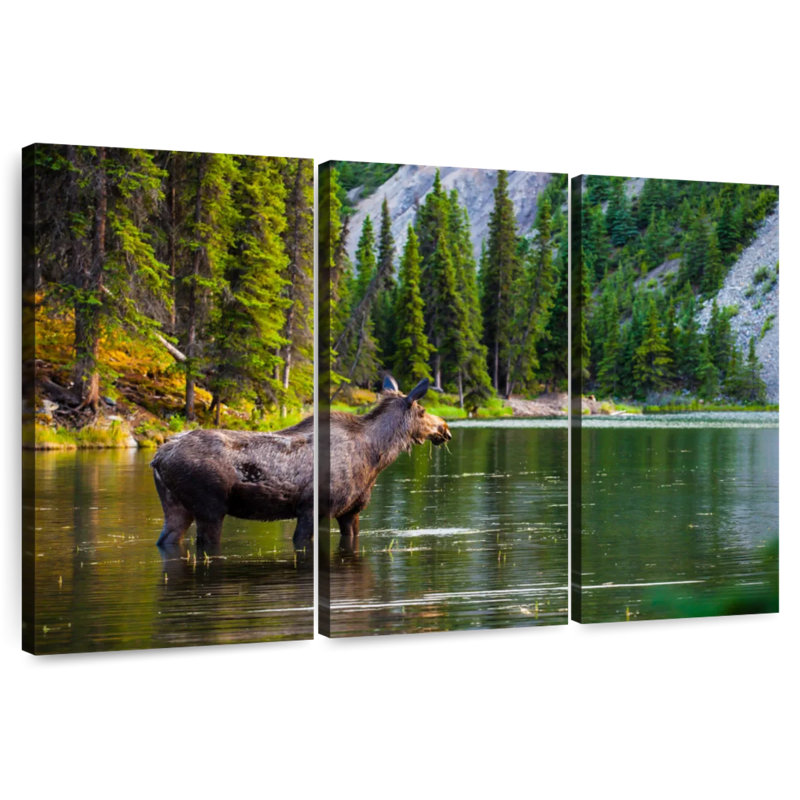 Brampt Bathing Alaskan Moose, 24" H x 38" W
