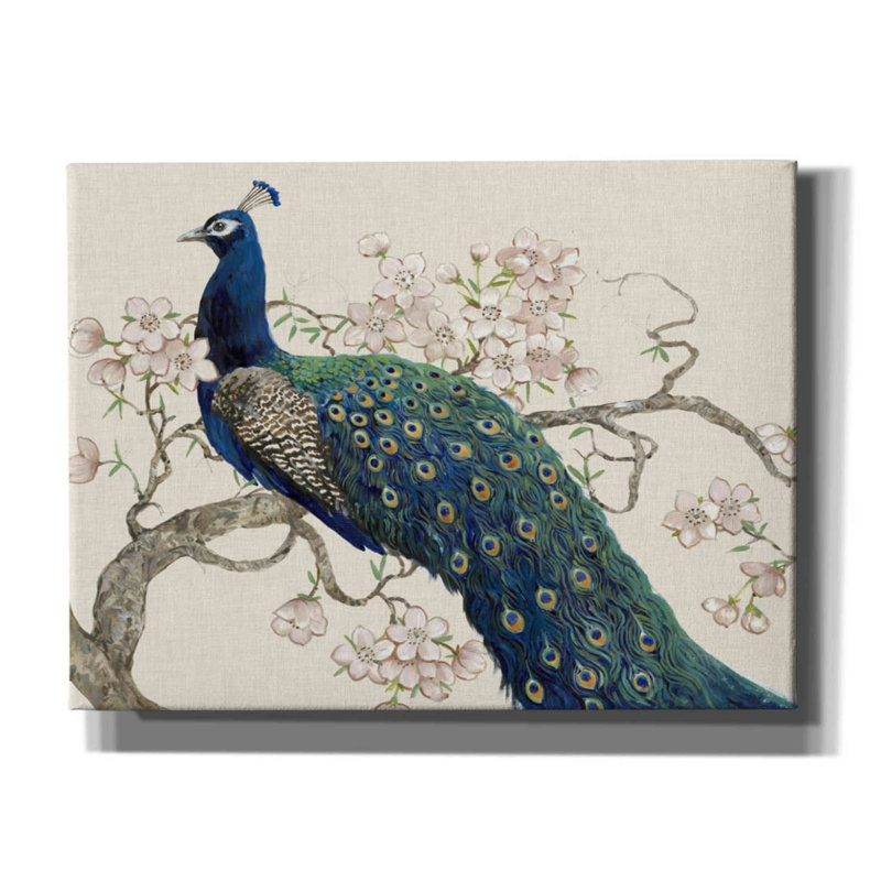 «Peacock & Blossoms II» par Tim O'toole, art mural sur toile, H 12 po x l 16 po x P 0,75 po