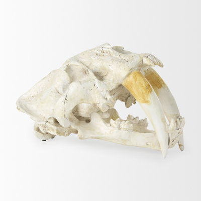 Shannock Animals Figurines & Sculptures