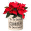Personalized Snowflake Ornament Ceramic Pot Planter-2003217426-1998225818