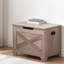 Accent Trunk