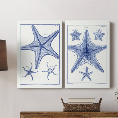 Blue Sea Stars VII-Premium Gallery Wrapped Canvas -Ready to Hang