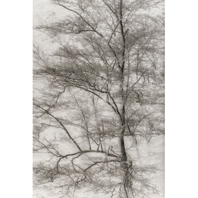 Arbre triptyque I