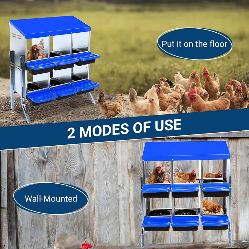 Boîte de nidification pour poulets en acier galvanisé avec plateau à œufs enroulable, ventilation et support mural / support, boîte de poulailler 6/8/10 trous
