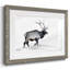 Lone Bull encadré sur papier-770959347-770959340
