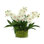 Faux Orchids in Glass Vase with Moss
