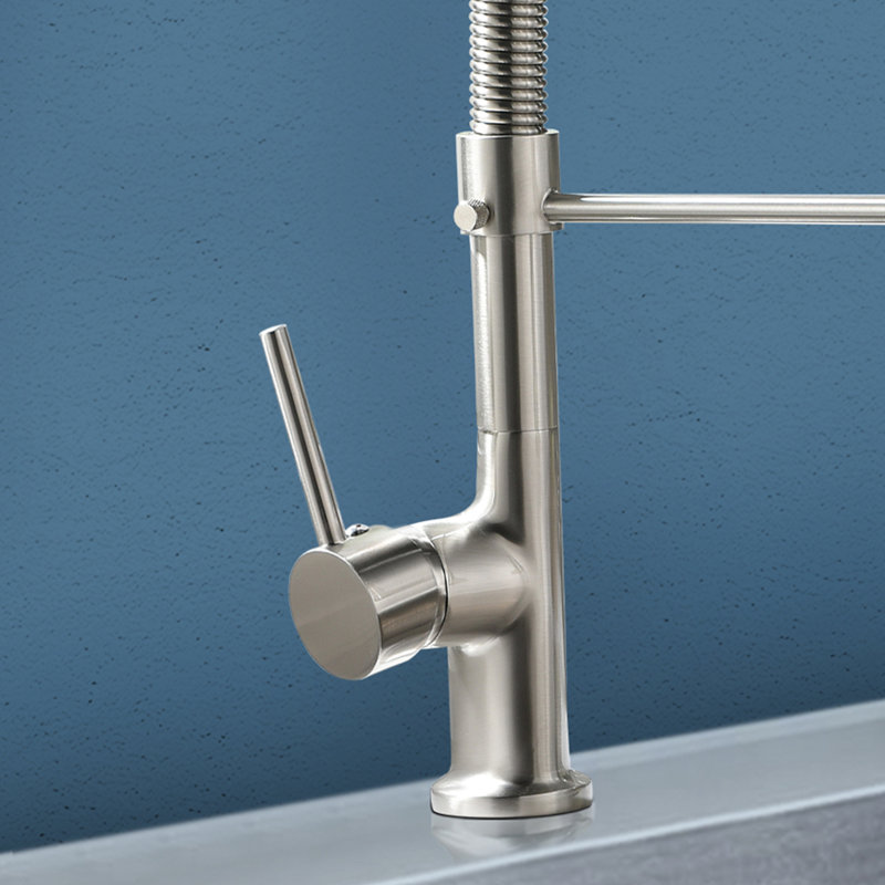 Topcraft Single-Handle Single-Hole Kitchen Faucet