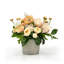 Roses And Anemone In A Pot