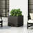 ELLA MGO L 22 Planter Box-887243755