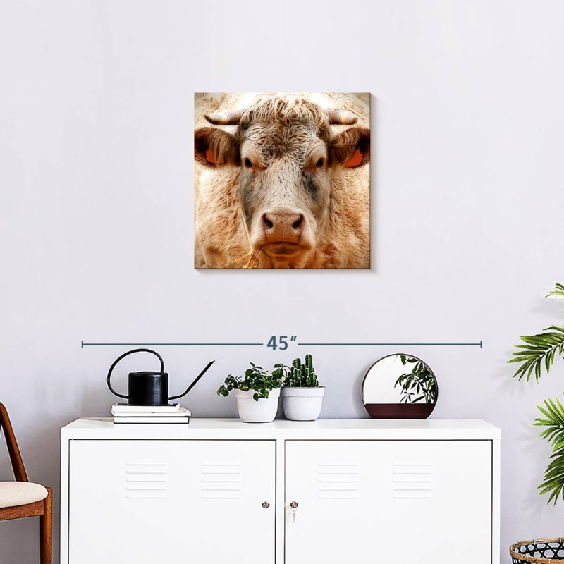 Brampt Mighty Bull, 20" H x 20" W