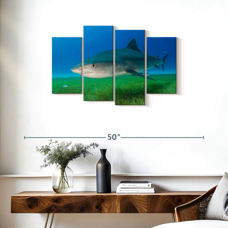 Brampt Tiger Shark On Sea Grass, 22" H x 36" W
