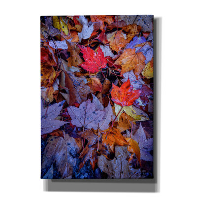 Toile épique «Wet Leaves» par Rick Berk, graffiti épique, 18 po x 26 po