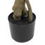 Potted Pierisjaponica 5ft Tree