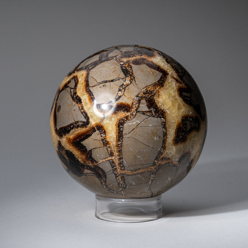 Genuine Polished Septarian (2") Sphere from Madagascar, 3.75" H x 3.75" W x 3.75" D, Yellow Calcite/Brown Aragonite/Gray