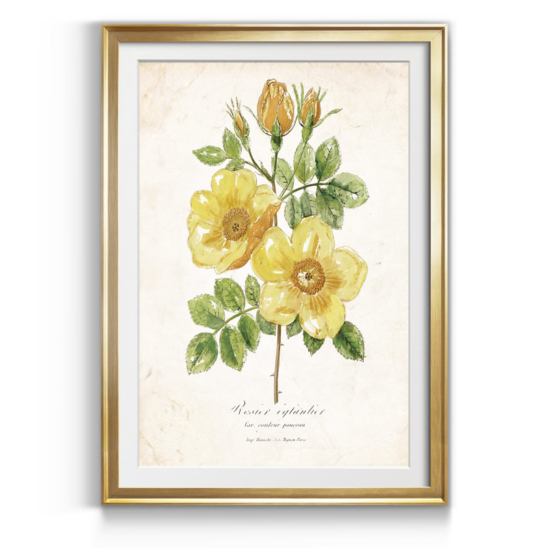 Botanique IV - Reproduction d'art sur papier encadré, H 26,5 po x l 36,5 po x P 1,5 po, Doré
