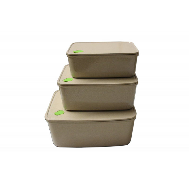 Antor Food Storage Container