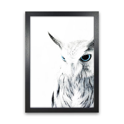 Owl I 1 Piece Wall Art
