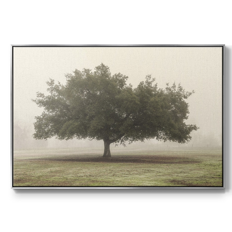 Arbres dans le brouillard II, Toile avec cadre argenté, H 27 po x l 41 po x P 2 po