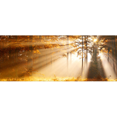 Mystic Light III - No Frame Panoramic Art Prints on Float Glass