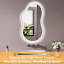 Miroir de salle de bain irrégulier-1306904285-1306904228