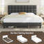 Lit plateforme tapissier Contemporary-1037473746-1010778105