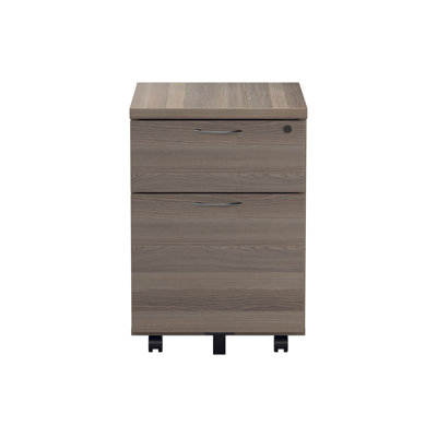 Buariki 40.4cm Wide 2 -Drawer Mobile File Cabinet