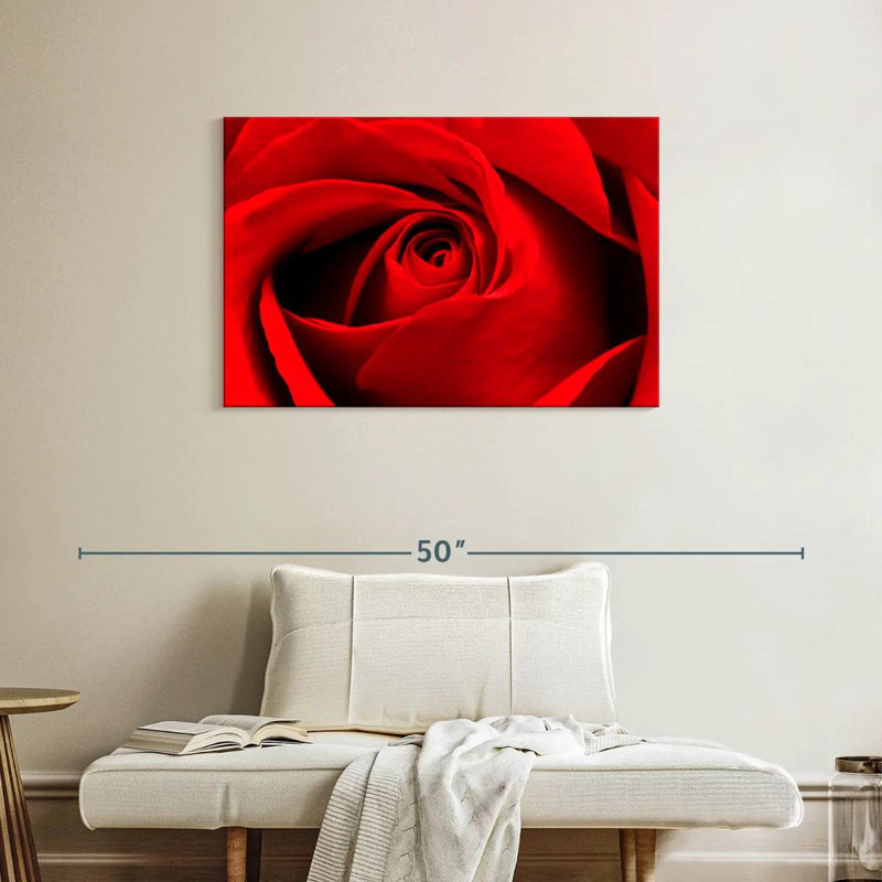 Harnek, gros plan d'une rose rouge, H 24 po x l 36 po