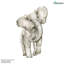 Watercolour Elephant Wall Sticker-88664904