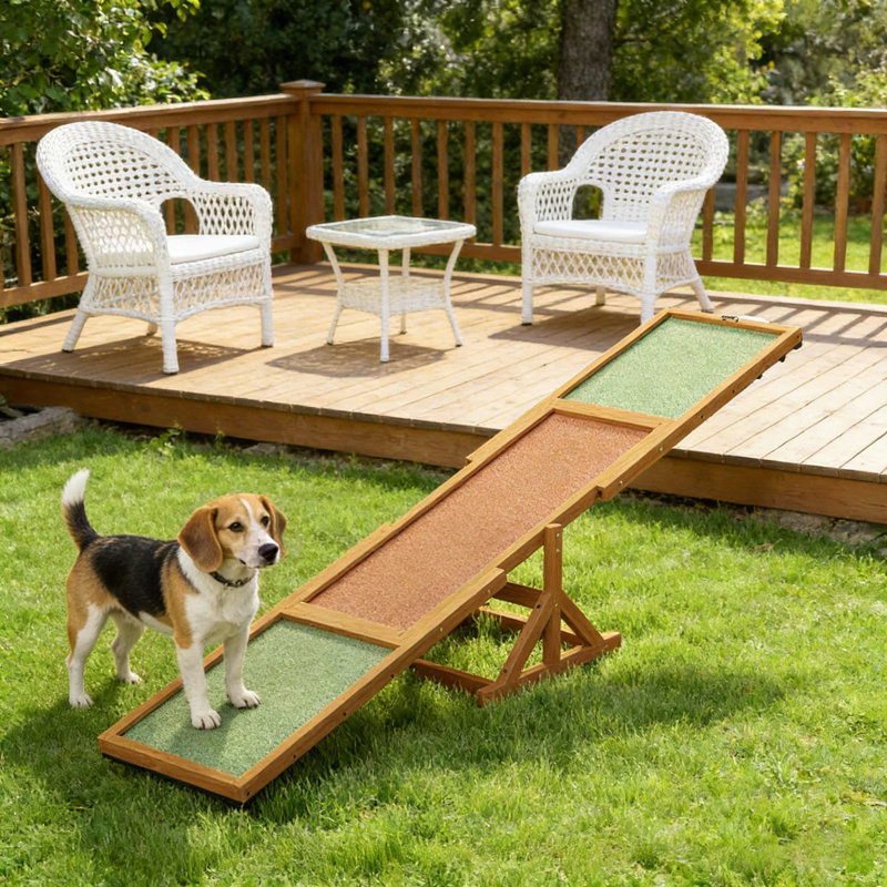 Balançoire en bois pour animaux de compagnie