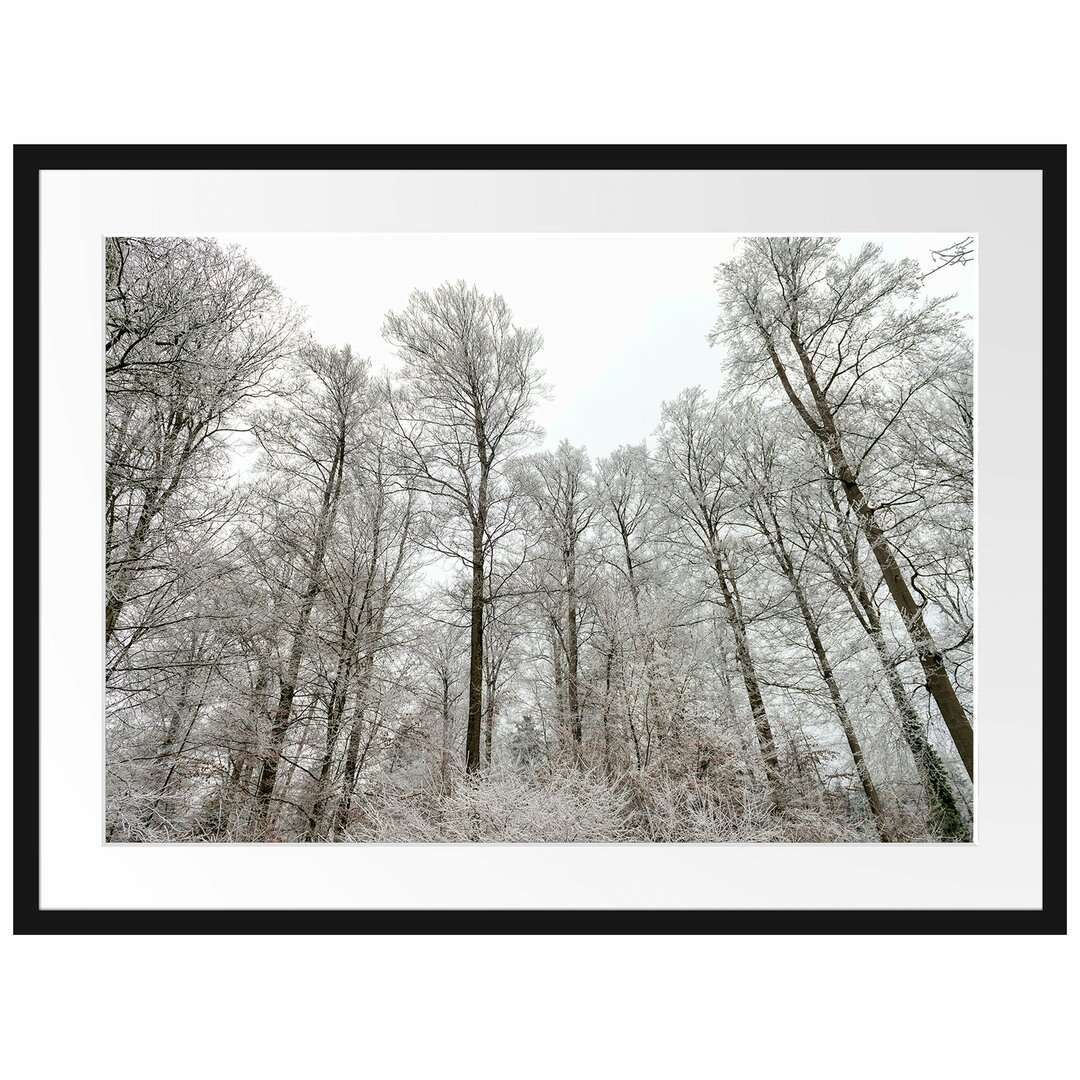 Gerahmtes Poster Verschneiter Wald