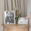 Wide Bamboo-1149671907