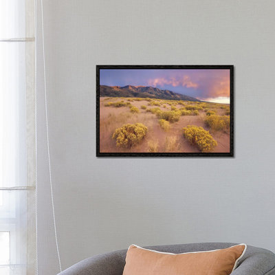 Sagewort On Sand Dune, Sangre De Cristo Mountains, Great Sand Dunes National Monument, Colorado 1 Piece Wall Art on Canvas