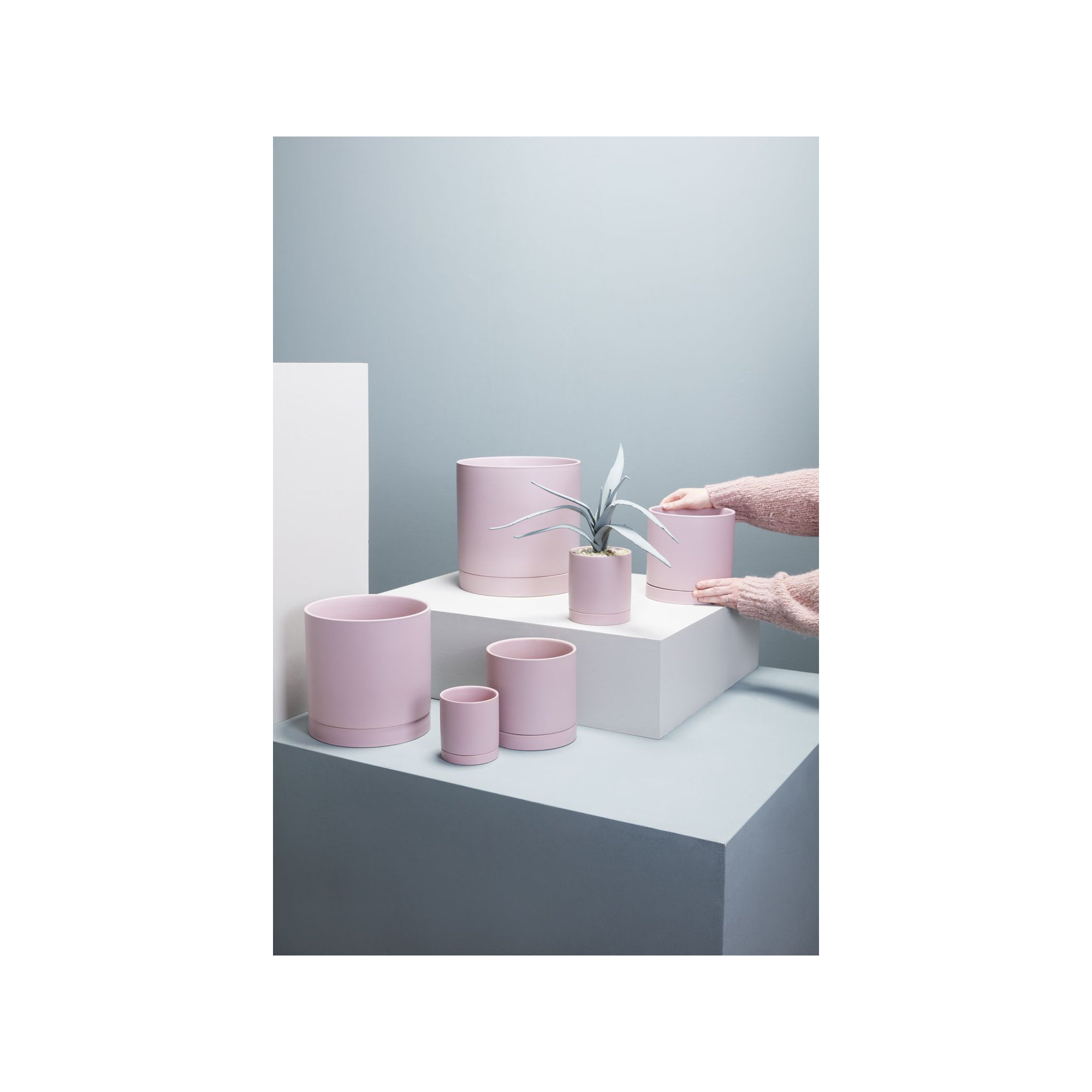 Carlotta Ceramic Pot Planter, 8" H x 8" W x 8" D, Purple