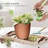 Plant Pots Indoor With Drainage - 7/6.6/6/5.3/4.8 Inches Flower Pots For Indoor Planter - 5 Pack Plastic Planters - Ideal For Stocking Stuffers Or Home Christmas Decorations-1413936356