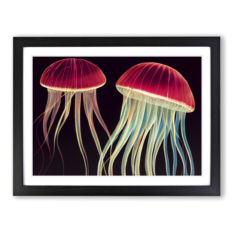 Two Jellyfish - Single Picture Frame Print, Black, 46cm H x 64cm W x 2cm D