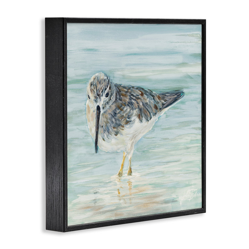 «Sandpiper on Shallow Shore», estampe numérique par Julie DeRice, H 24 po x l 24 po, Giclée encadrée noir minuit
