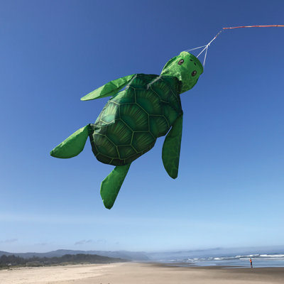 Manche de bébé 3D tortue de mer