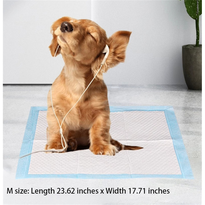 Tapis pour chien (ensemble de 50)